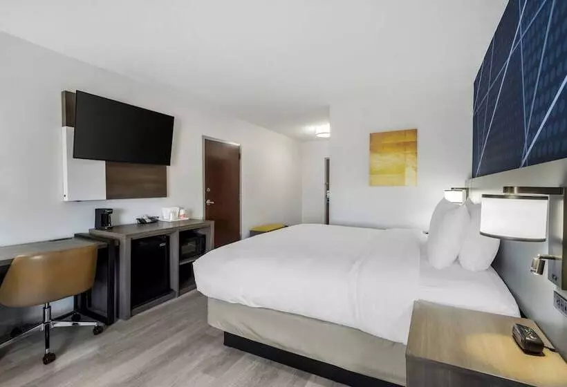 ホテル Comfort Inn & Suites