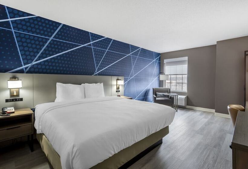 فندق Comfort Inn & Suites