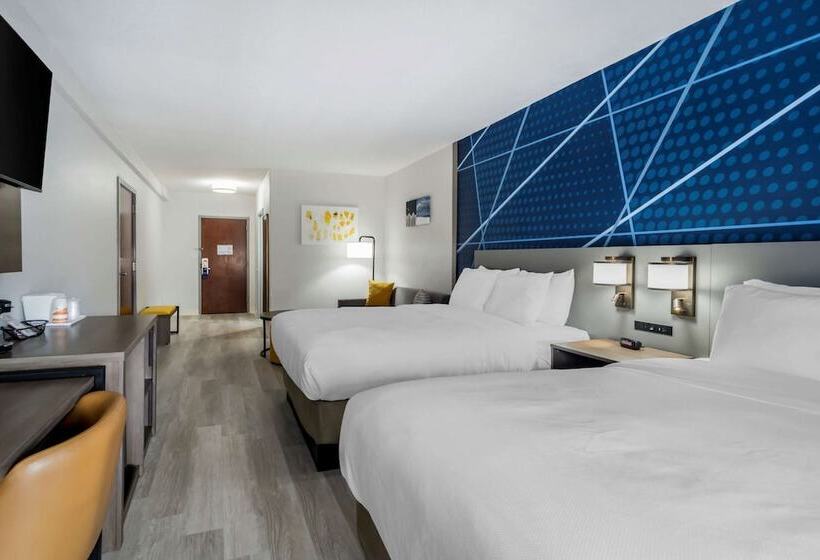 فندق Comfort Inn & Suites