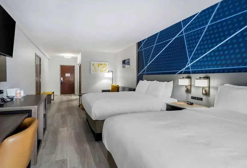 ホテル Comfort Inn & Suites