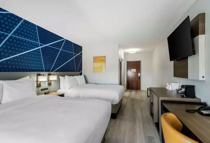 ホテル Comfort Inn & Suites