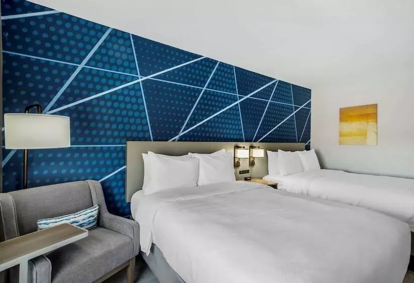 ホテル Comfort Inn & Suites