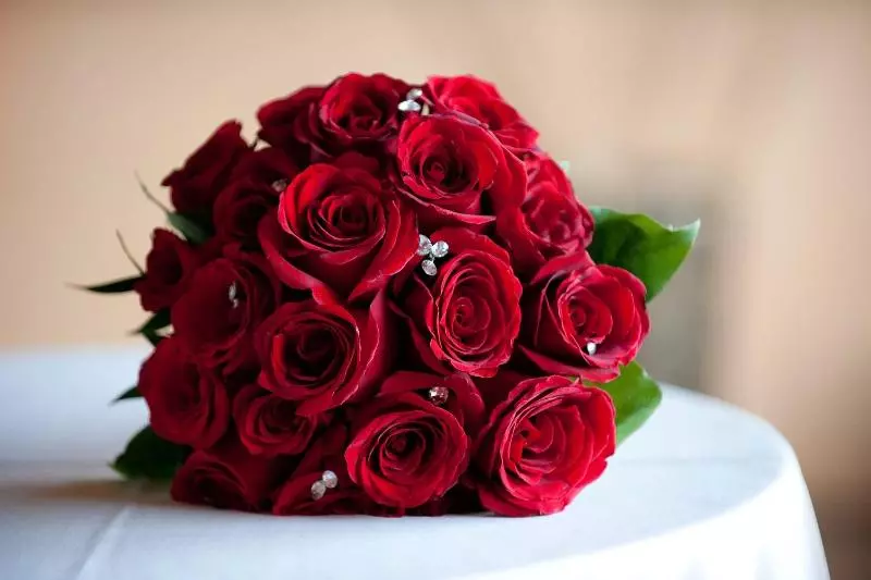 ホテル Jw Marriott Tucson Starr Pass Resort