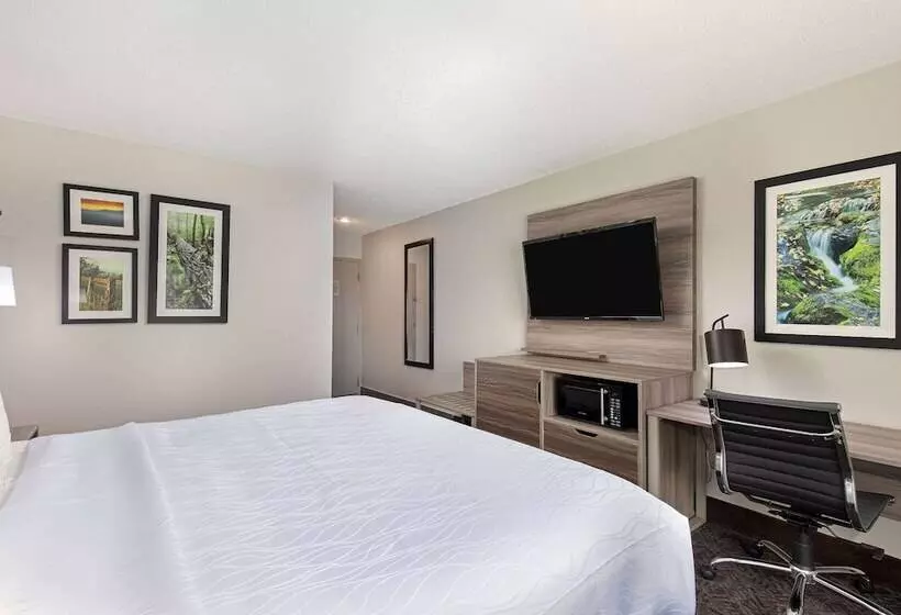 호텔 La Quinta Inn By Wyndham Pigeon Forgedollywood