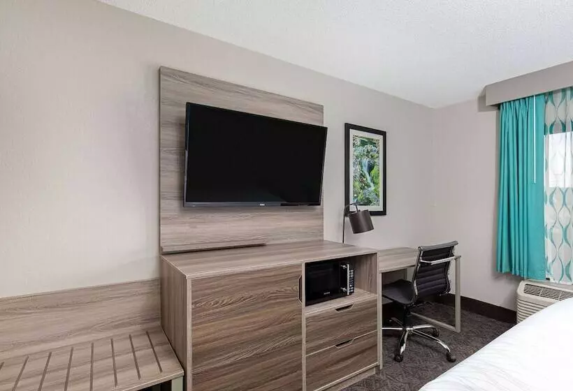 호텔 La Quinta Inn By Wyndham Pigeon Forgedollywood