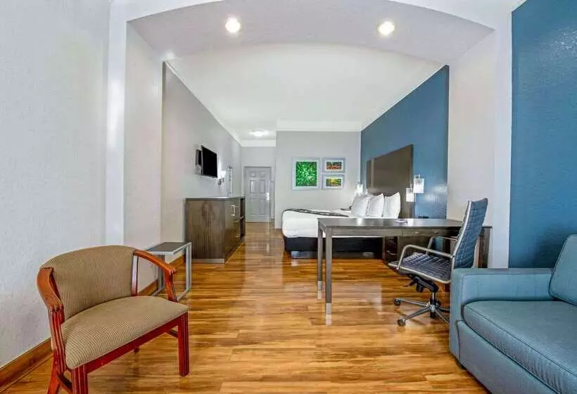 Hotel La Quinta Inn & Suite Kingwood Houston Iah Airport 53200