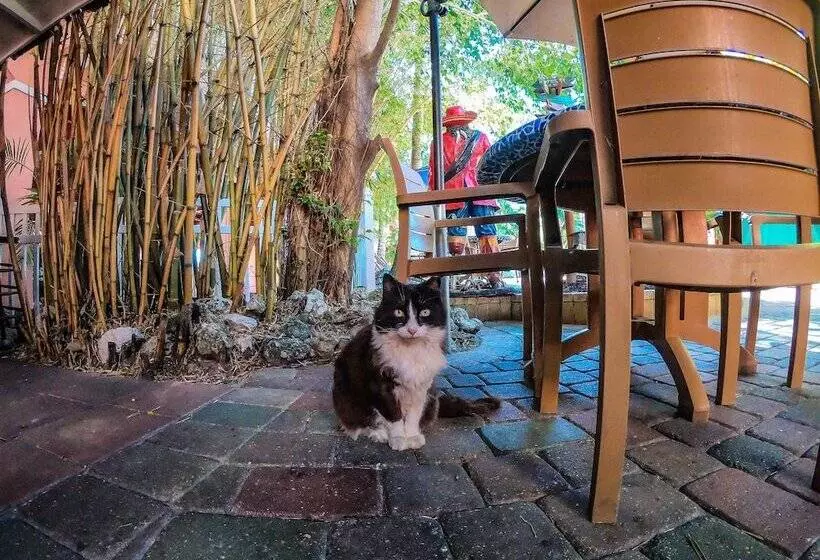 Отель The Lighthouse Resort Inn & Suites