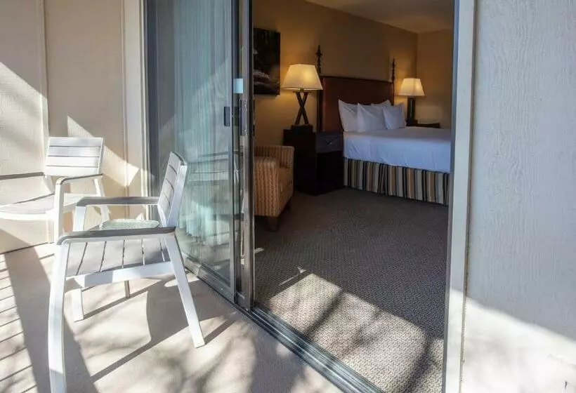 ホテル Riverside Inn