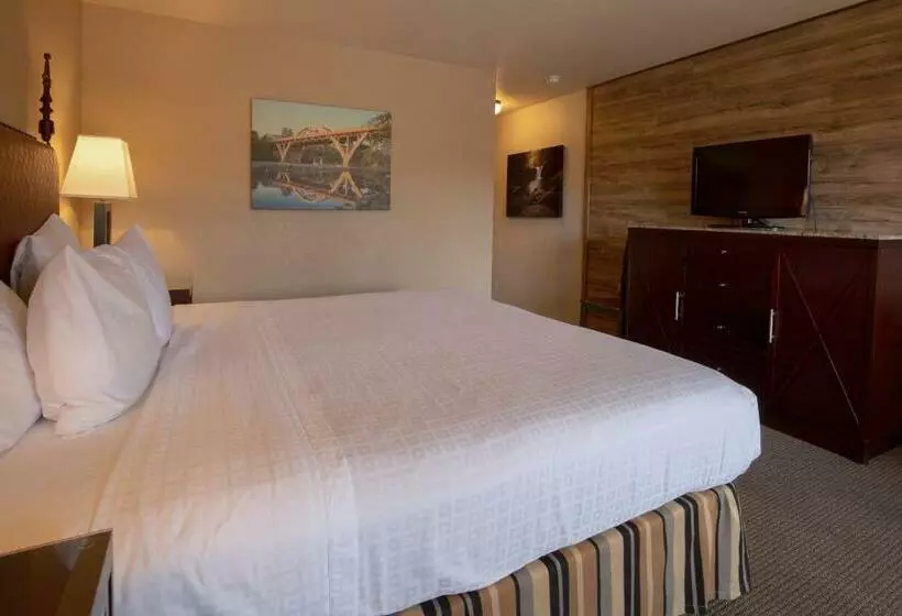 ホテル Riverside Inn