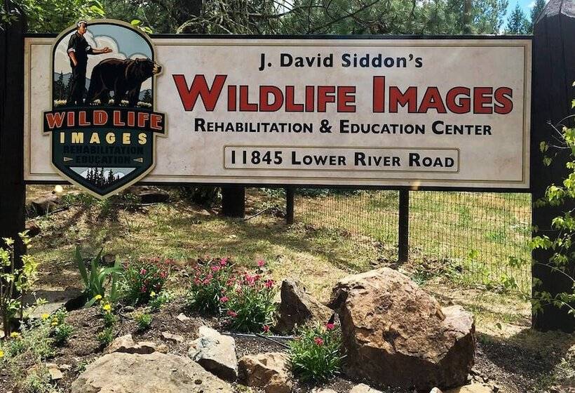 Szálloda Riverside Inn