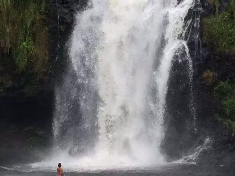 בית מלון כפרי The Inn At Kulaniapia Falls