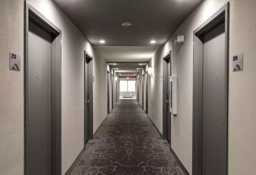 בית מלון כפרי Wingate Augusta Washington Road By Wyndham