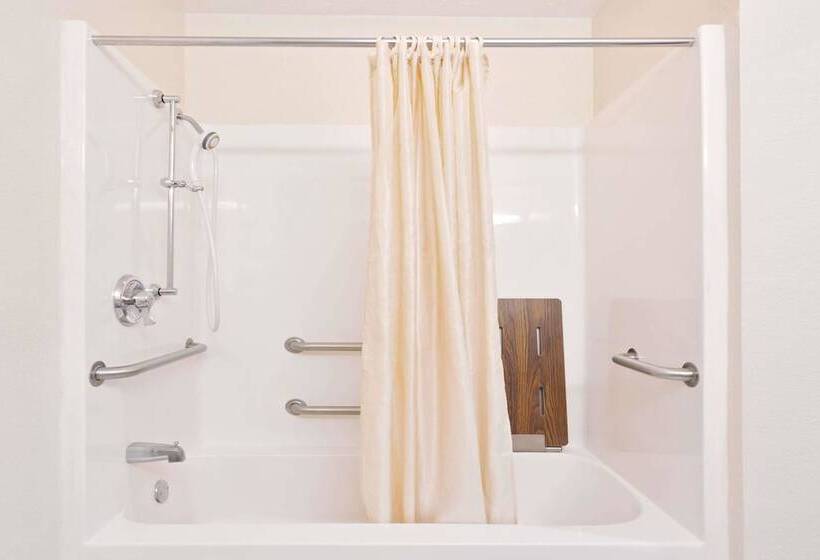 Microtel Inn & Suites By Wyndham Brandon