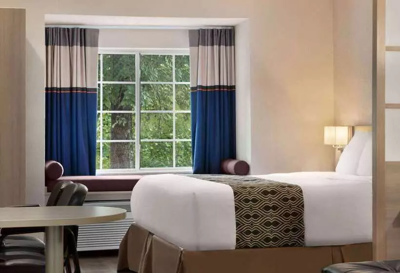 Microtel Inn & Suites By Wyndham Florence/cincinnati Airpo