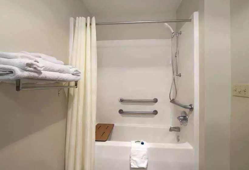 Microtel Inn & Suites By Wyndham Ponchatoula/hammond