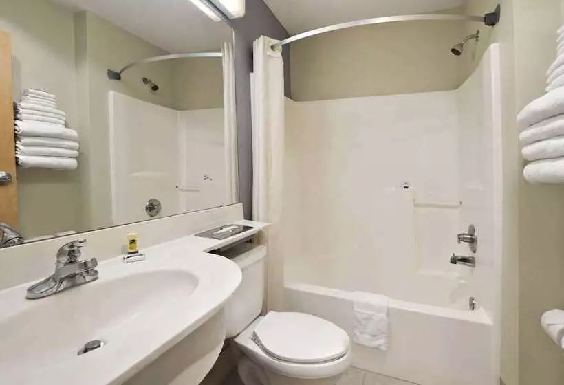 Microtel Inn & Suites By Wyndham Ponchatoula/hammond