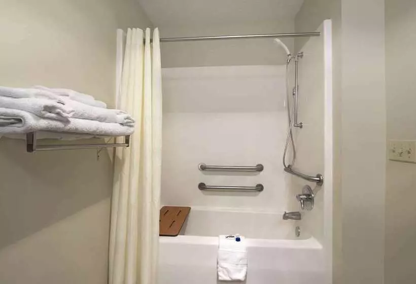 Microtel Inn & Suites By Wyndham Ponchatoula/hammond