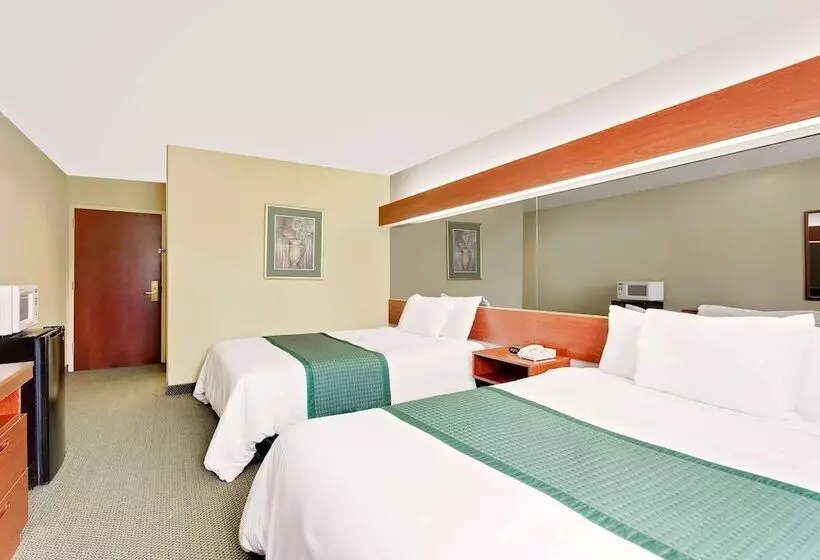 Microtel Inn & Suites By Wyndham Thomasville/high Point/lexi