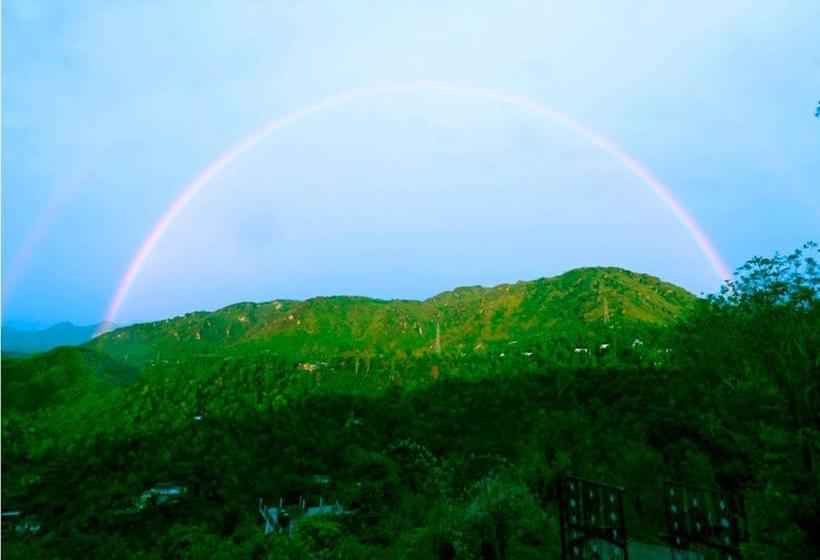 تختخواب و صبحانه 47 Hill