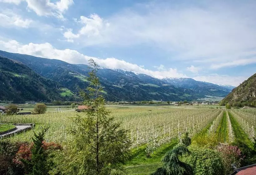 Aamiaismajoitus (B&B) Garni Weghueb