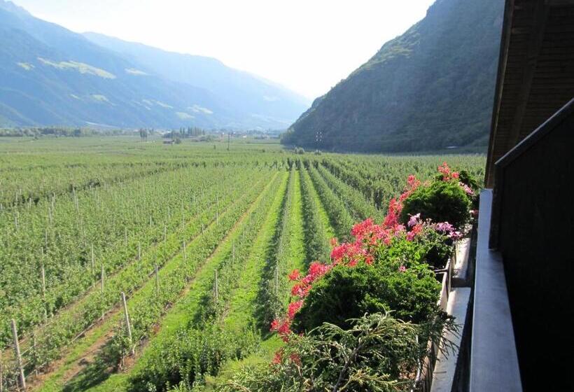 住宿加早餐  Garni Weghueb