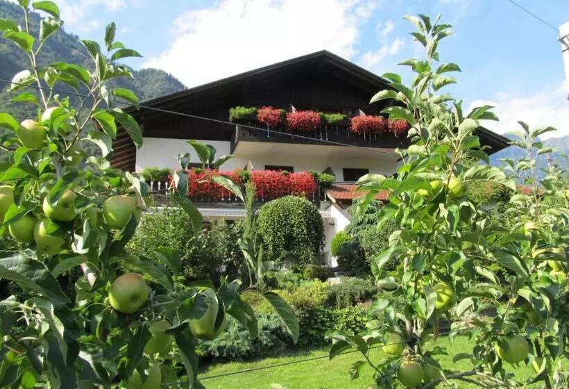 Aamiaismajoitus (B&B) Garni Weghueb