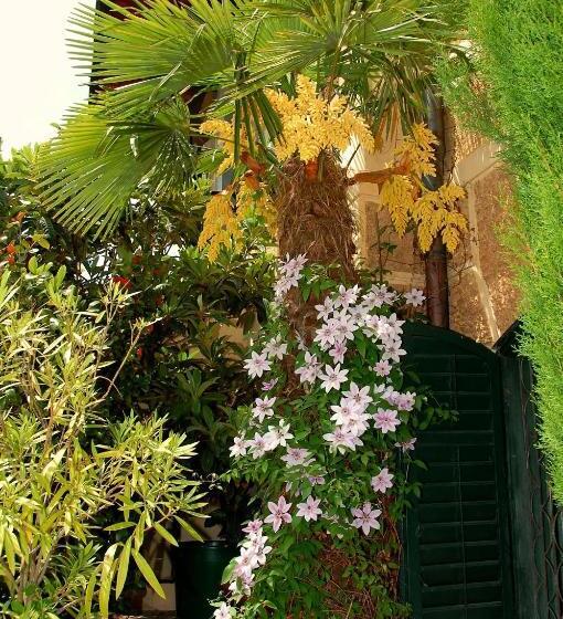 مبيت وإفطار Haus Marianne