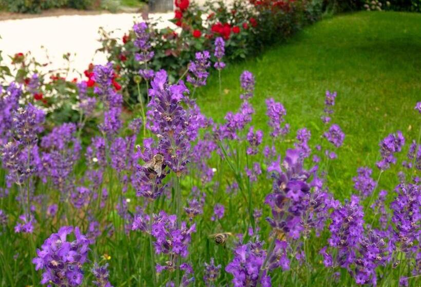 مبيت وإفطار Haus Marianne