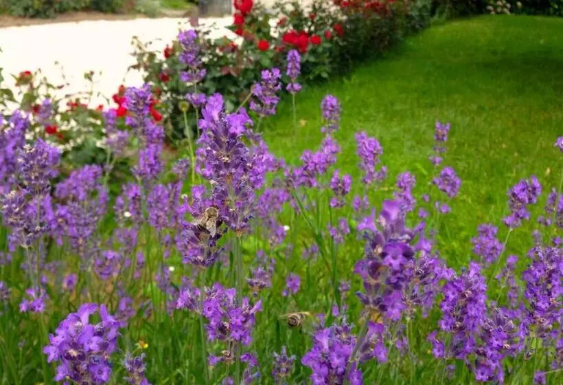 ベッドアンドブレックファースト Haus Marianne