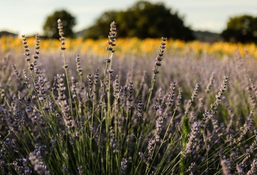 בית מלון כפרי Agriturismo Casale San Lorenzo