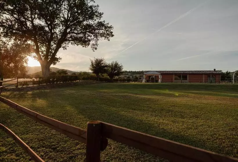 ホテル Agriturismo Casale San Lorenzo