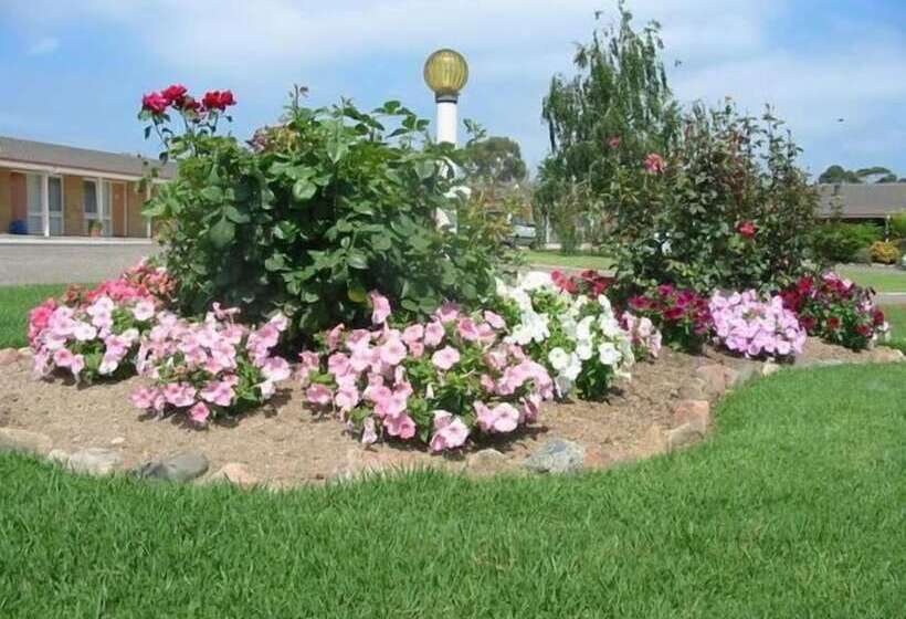 Мотель Bega Village Motor Inn