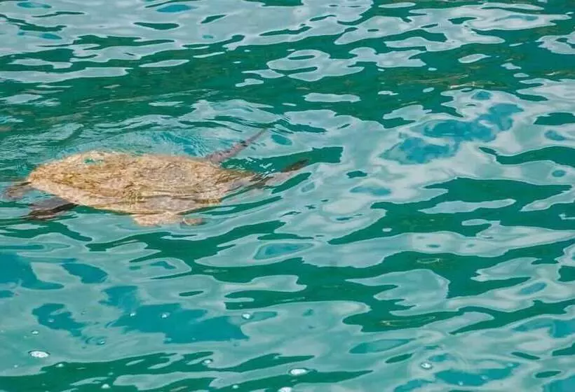 Majatalo Pousada E Mergulho Dolce Vita