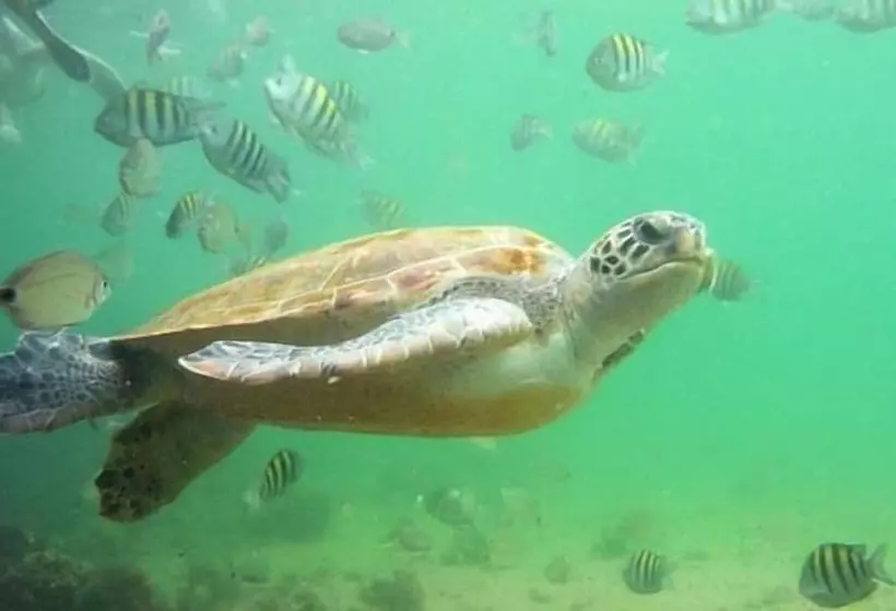 Majatalo Pousada E Mergulho Dolce Vita