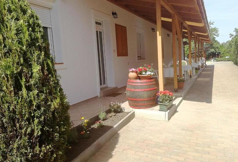 مبيت وإفطار Kathy Panzió