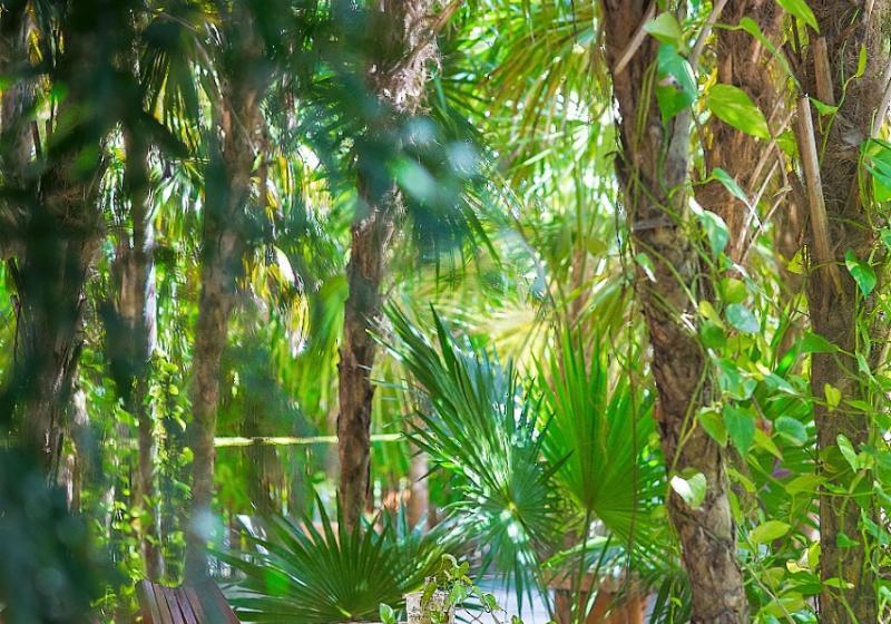 Holbox Deluxe Apartments