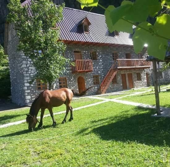 Pensione Bujtina Berishta Theth