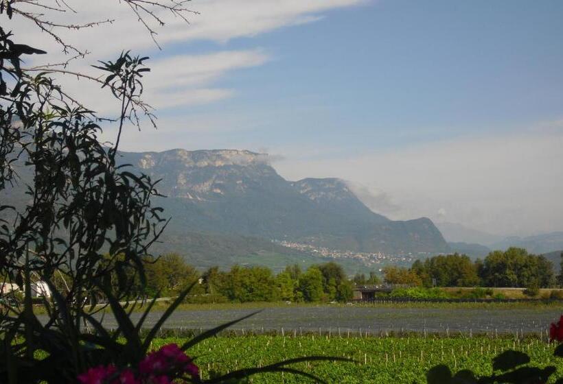 ペンション Dependance Villnerhof