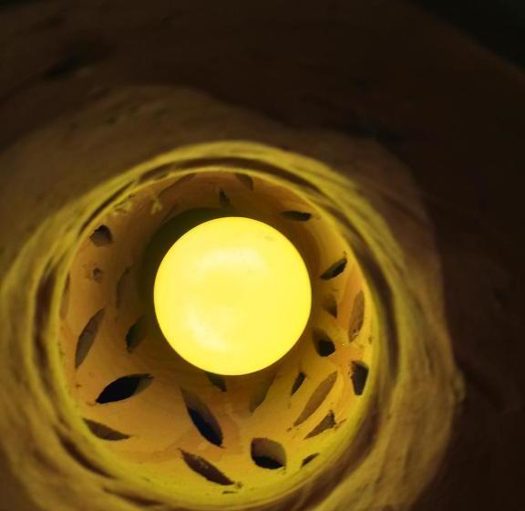 펜션 Patwa Haweli Guest House