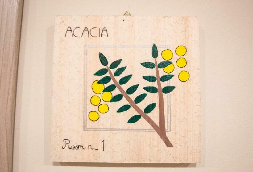 Pensjonat Papiroom S