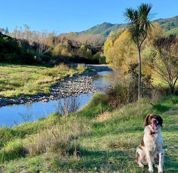Aston Road Villa Bed & Breakfast