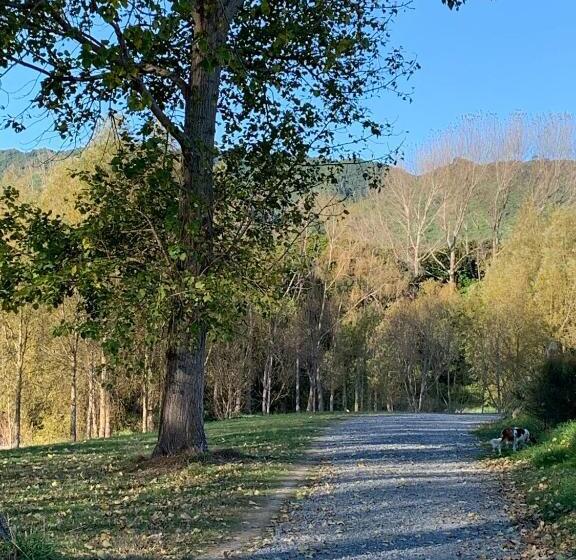 Aston Road Villa Bed & Breakfast