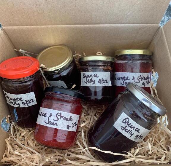 Aston Road Villa Bed & Breakfast