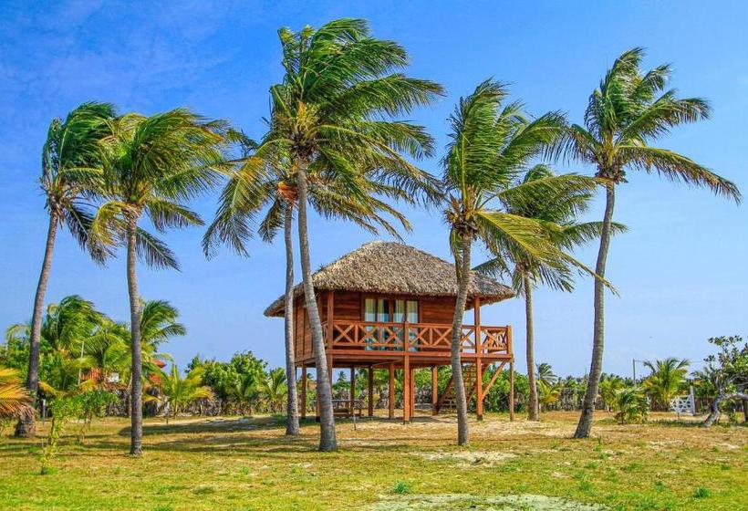 ベッドアンドブレックファースト Vila Vento