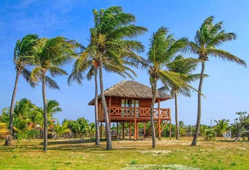 Aamiaismajoitus (B&B) Vila Vento