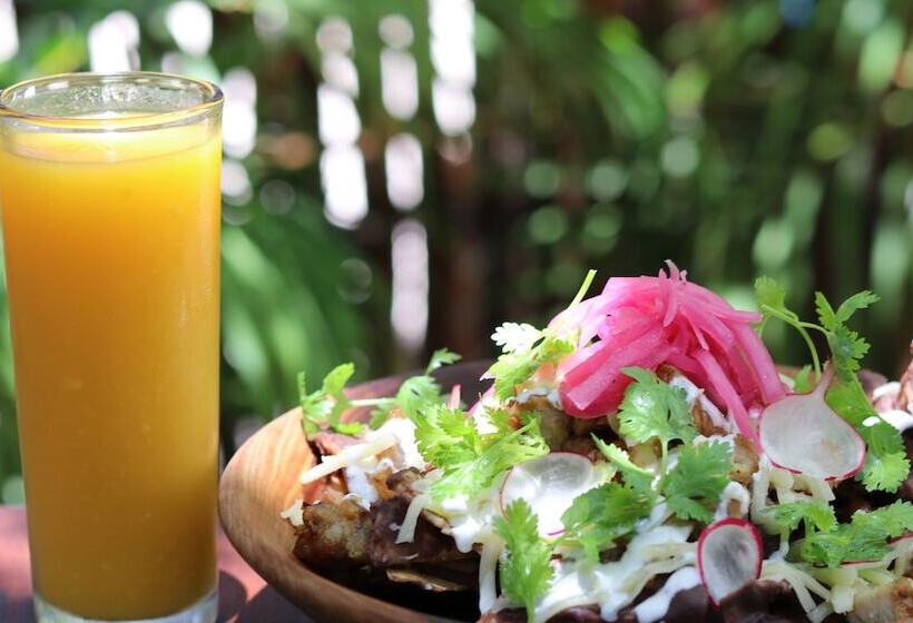 فندق Poza Clara Sanctuary