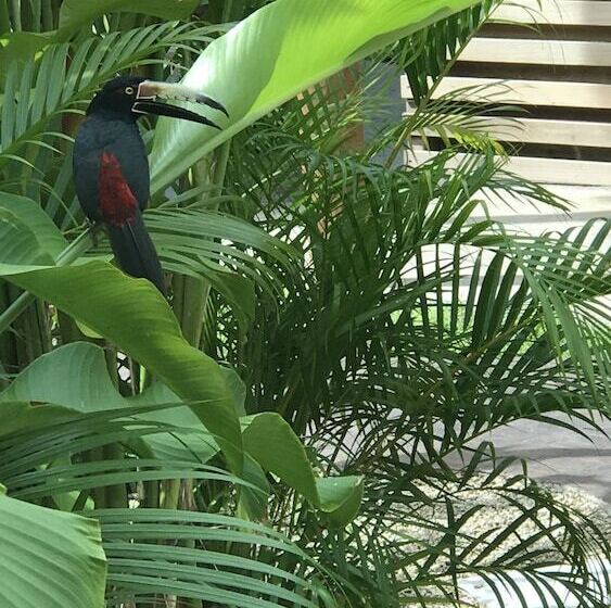 فندق Poza Clara Sanctuary