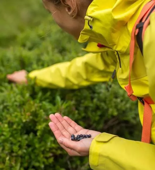 Majatalo Penzion Pod šerákem