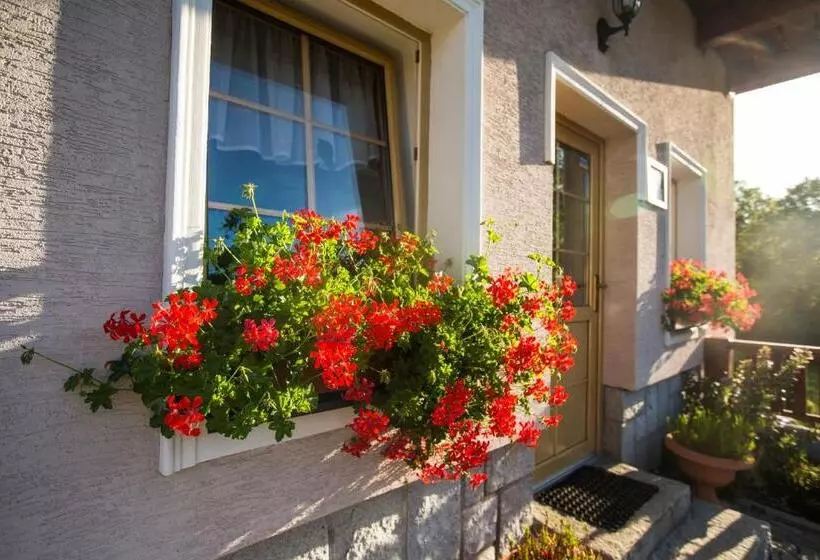 Majatalo Penzion Pod šerákem