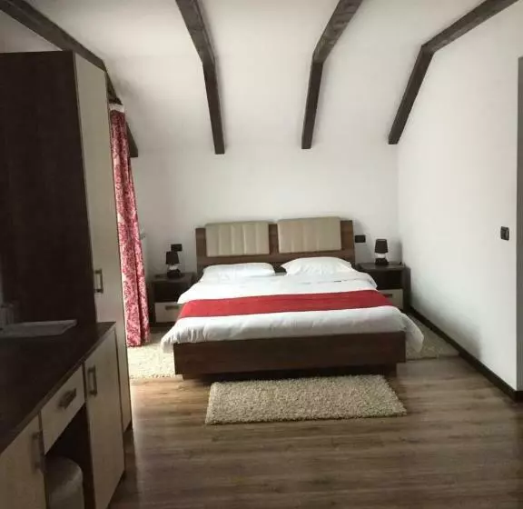 Pensiunea Rustic